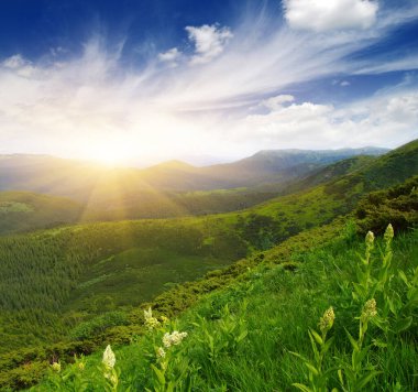 Güneşli dağ manzarası