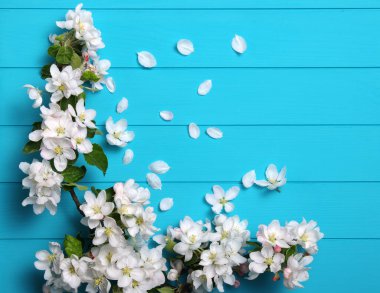 Tahta arka planda bahar çiçekleri.