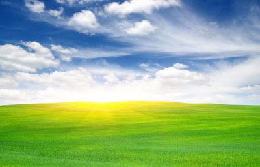 Yeşil tarla, mavi gökyüzü ve güneş. 
