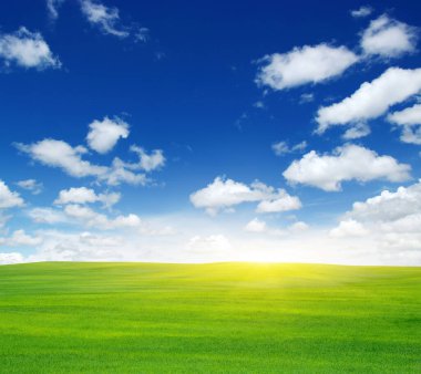 Yeşil tarla, mavi gökyüzü ve güneş. 