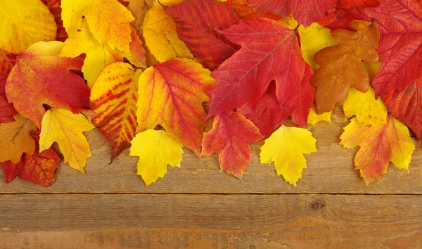 Fondo de otoño — Foto de Stock