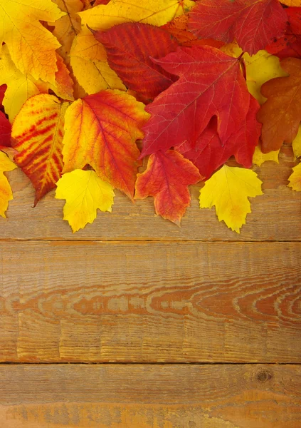 Autumn background — Stock Photo, Image