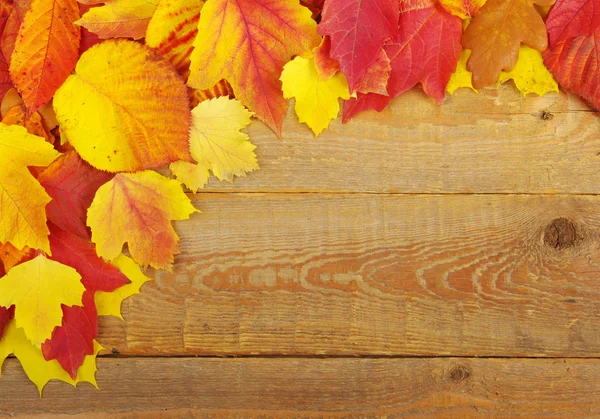 Autumn background — Stock Photo, Image