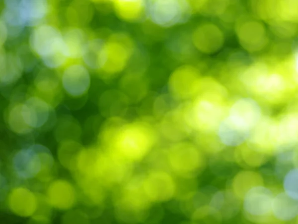 พื้นหลังแสงสีเขียว — ภาพถ่ายสต็อก
