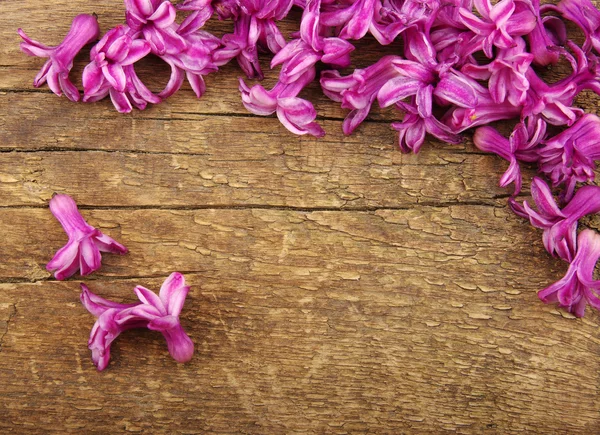 Fiore su legno — Foto Stock