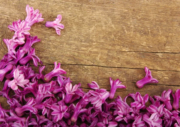 Fiore su legno — Foto Stock