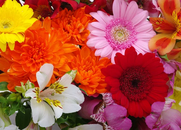 Hermosas flores — Foto de Stock