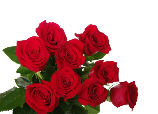 Red roses bouquet — Stock Photo, Image