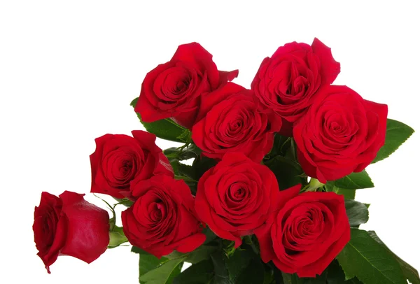 Bouquet di rose rosse — Foto Stock