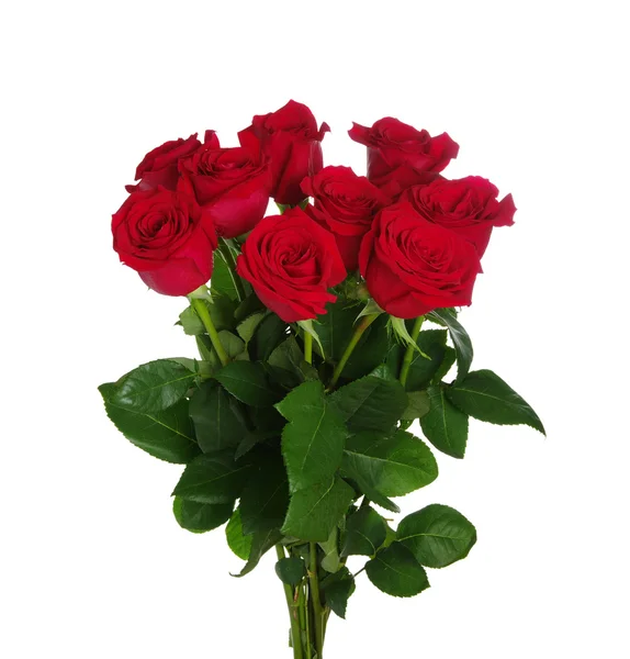 Red roses bouquet — Stock Photo, Image