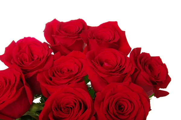 Red roses bouquet — Stock Photo, Image