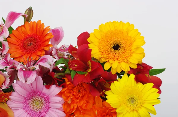 Hermosas flores — Foto de Stock