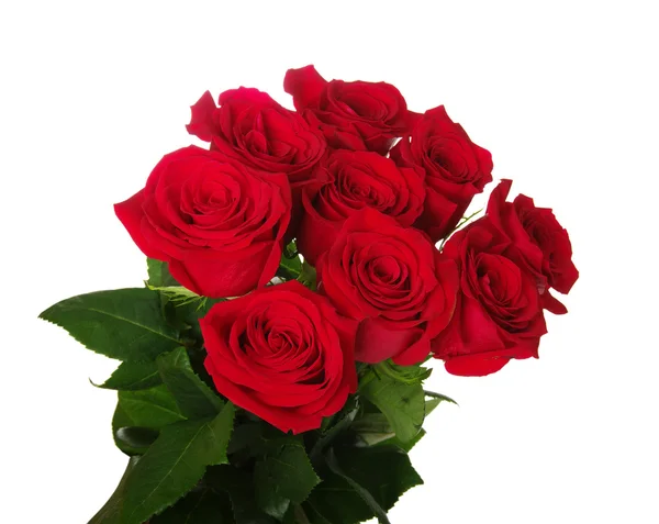 Red roses bouquet Royalty Free Stock Images