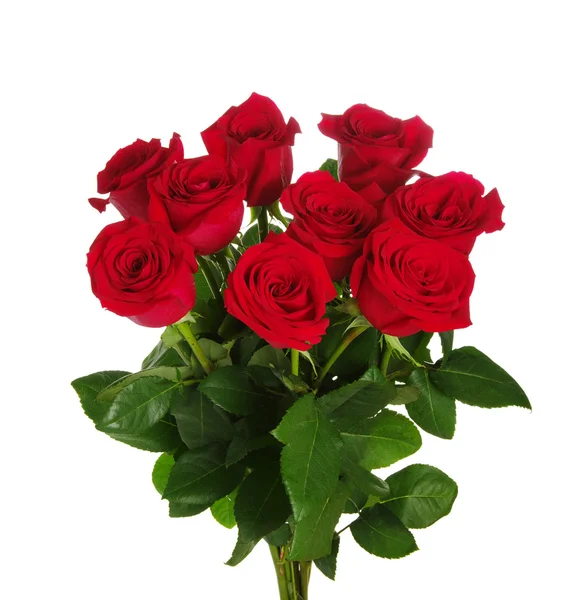 Red roses bouquet Stock Picture