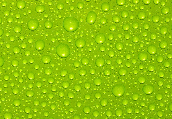 Gotas verdes — Fotografia de Stock