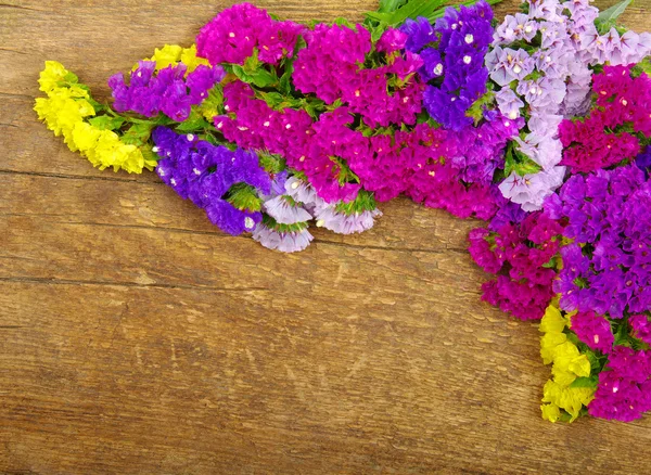 Flor na madeira — Fotografia de Stock