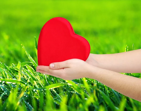 Red heart in hands — Stock Photo, Image