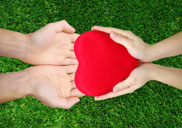 Red heart in hands — Stock Photo, Image
