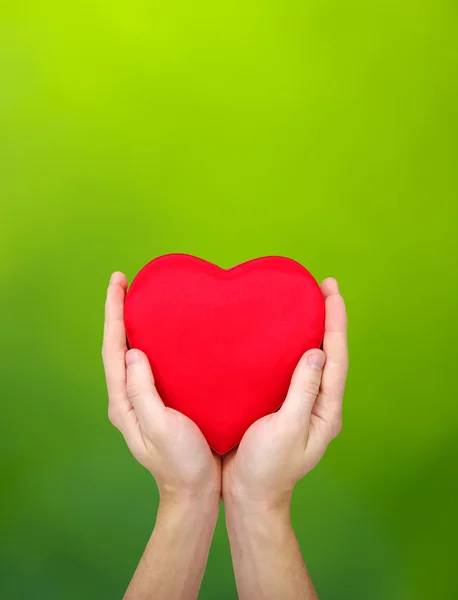 Red heart in hands — Stock Photo, Image