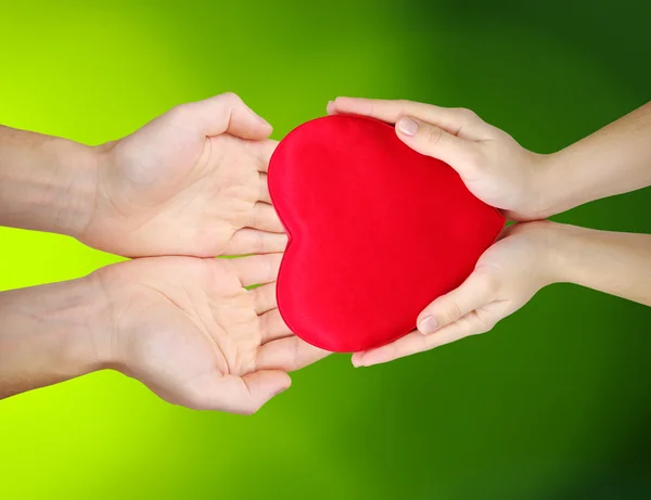 Red heart in hands — Stock Photo, Image