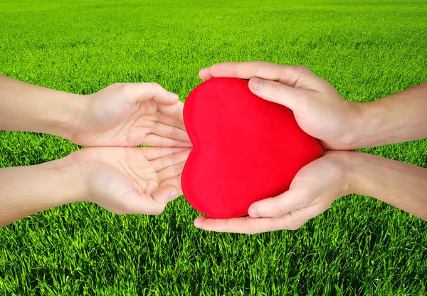 Red heart in hands — Stock Photo, Image