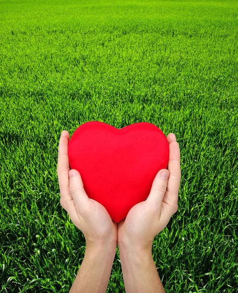 Corazón rojo en las manos —  Fotos de Stock