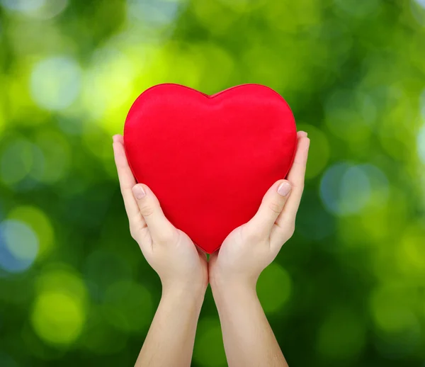 Red heart in hands — Stock Photo, Image