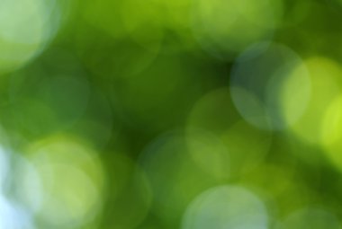 yeşil ışık arka plan