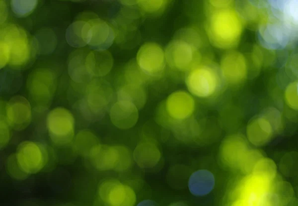Groen licht achtergrond — Stockfoto