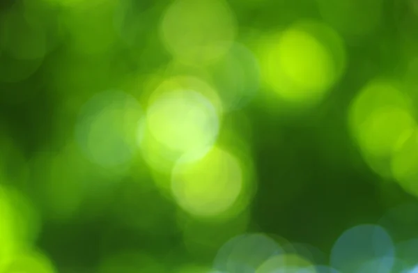 Зеленый свет фон — стоковое фото