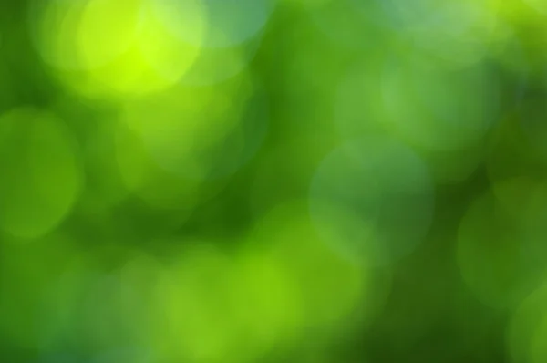 緑色の光の背景 — ストック写真