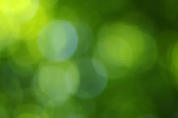 Sfondo luce verde — Foto Stock