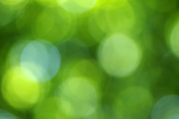Fond de lumière verte — Photo