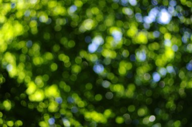 yeşil ışık arka plan