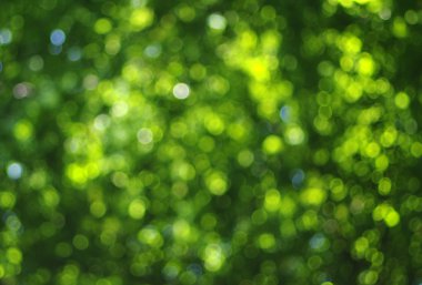 yeşil ışık arka plan