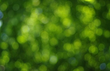 yeşil ışık arka plan