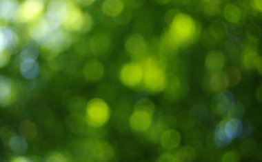 yeşil ışık arka plan