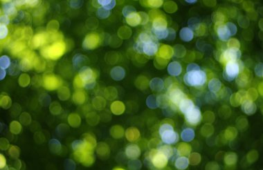 yeşil ışık arka plan