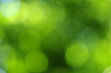 yeşil ışık arka plan