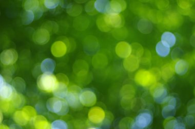 yeşil ışık arka plan