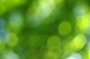 yeşil ışık arka plan