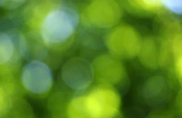 Sfondo luce verde — Foto Stock