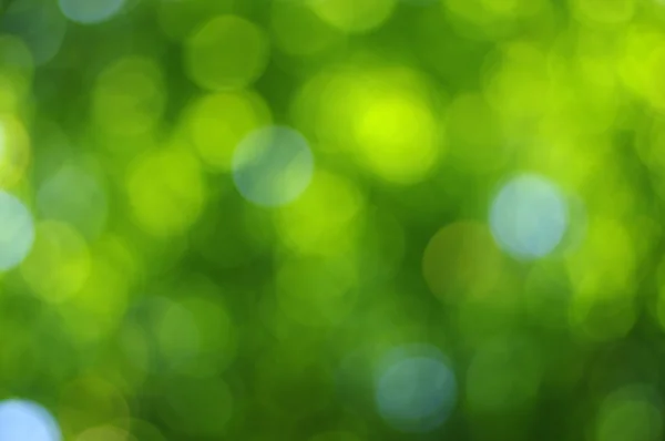 Sfondo luce verde — Foto Stock