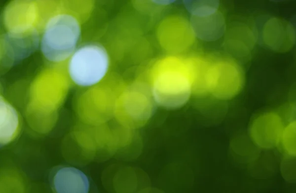 Grönt ljus bakgrund — Stockfoto