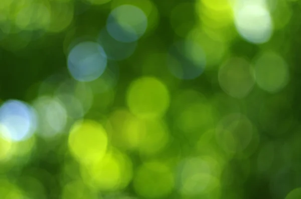 Grönt ljus bakgrund — Stockfoto