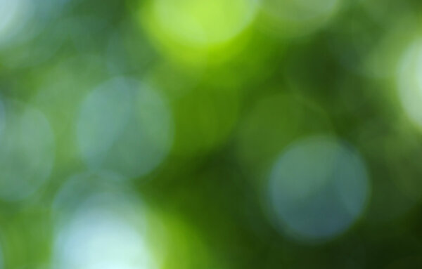 зеленый свет фон
