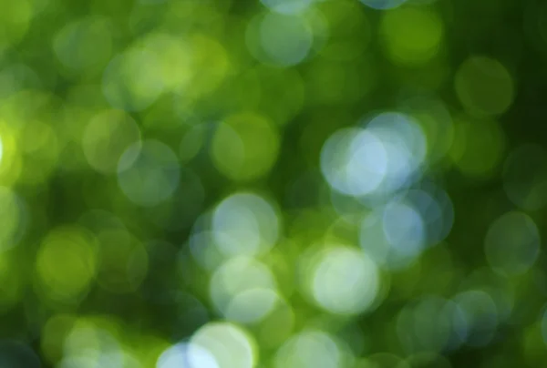 Luz verde fundo — Fotografia de Stock