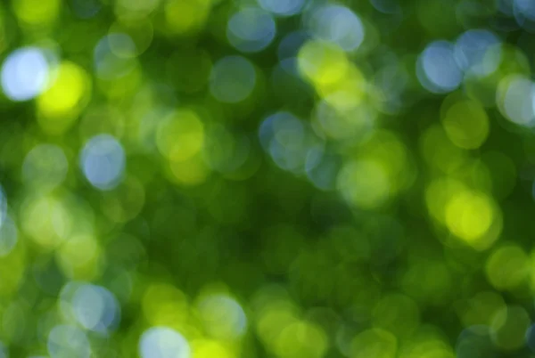 Sfondo luce verde — Foto Stock