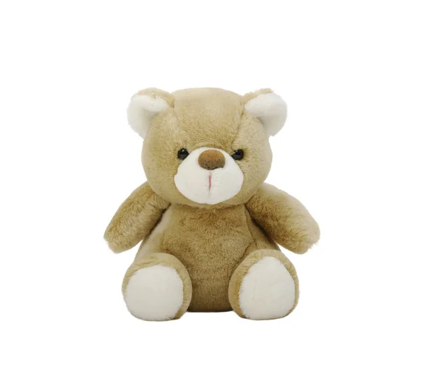 Teddy bear — Stockfoto