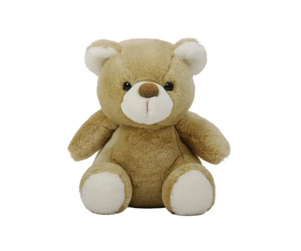 Teddy bear — Stockfoto